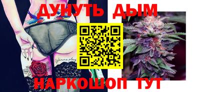 трава Сланцы