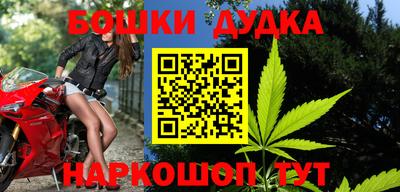 трава Сланцы