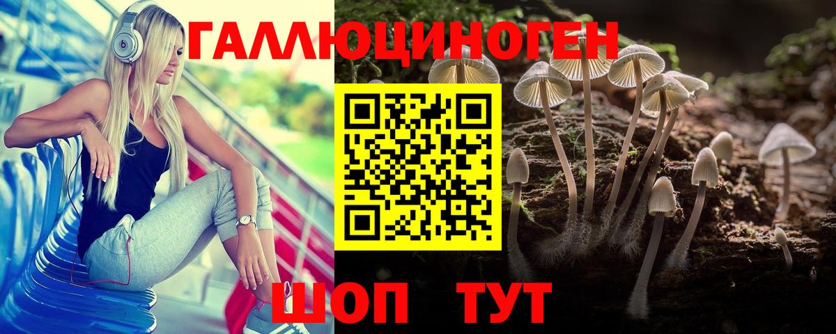 Псилоцибиновые грибы Cubensis Юрга